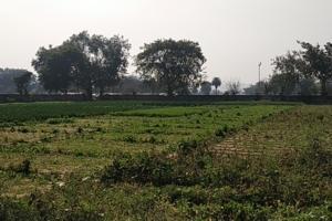 Agriculture land for sale