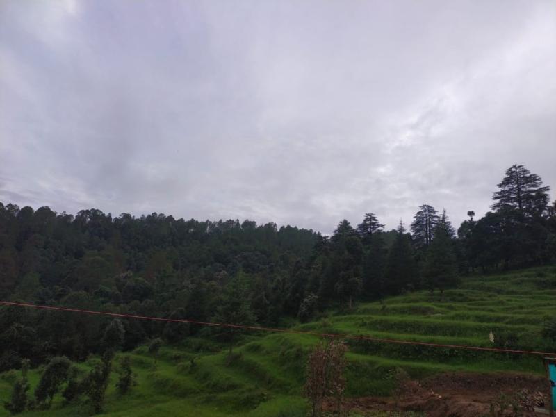 Plot for sale in Kausani, Cottage for sale in Kausani